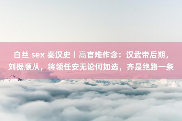 白丝 sex 秦汉史丨高官难作念：汉武帝后期，刘据顺从，将领任安无论何如选，齐是绝路一条